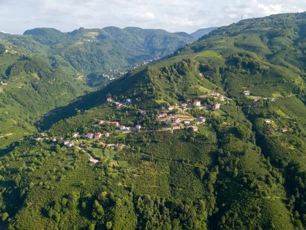 İzmir, Uşak, Afyon Çıkışlı Karadeniz Yaylalar ve Batum Turu (5 Gece)
