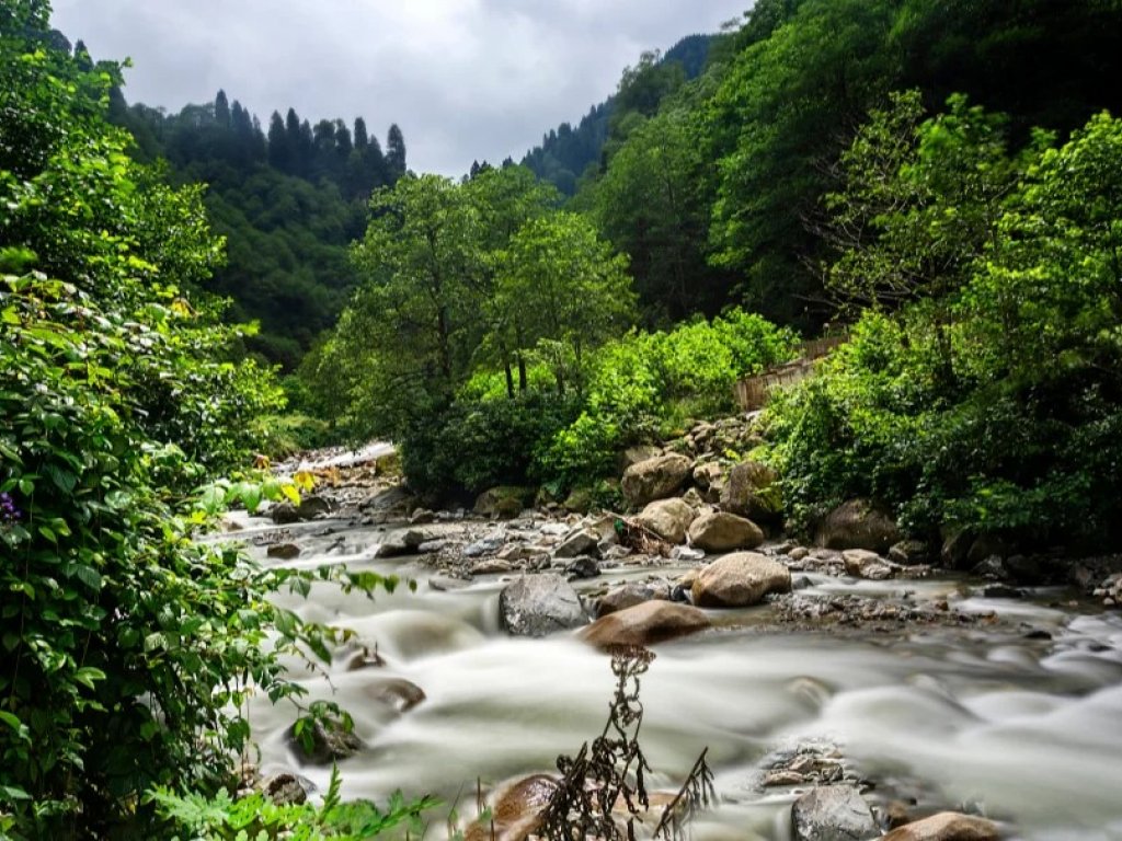 İzmir, Uşak, Afyon Çıkışlı Karadeniz Yaylalar ve Batum Turu (5 Gece)
