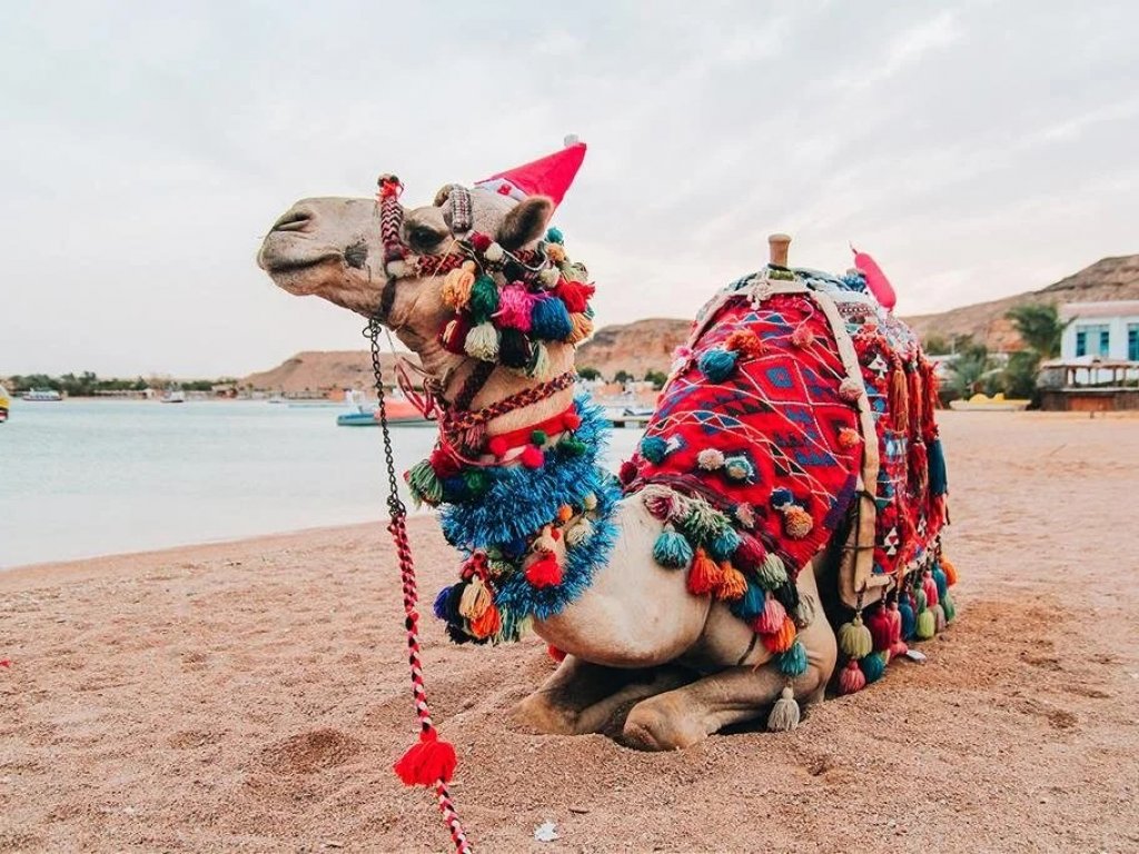 İzmir Çıkışlı Sharm El Sheikh Turu (7 Gece - 8 Gün)
