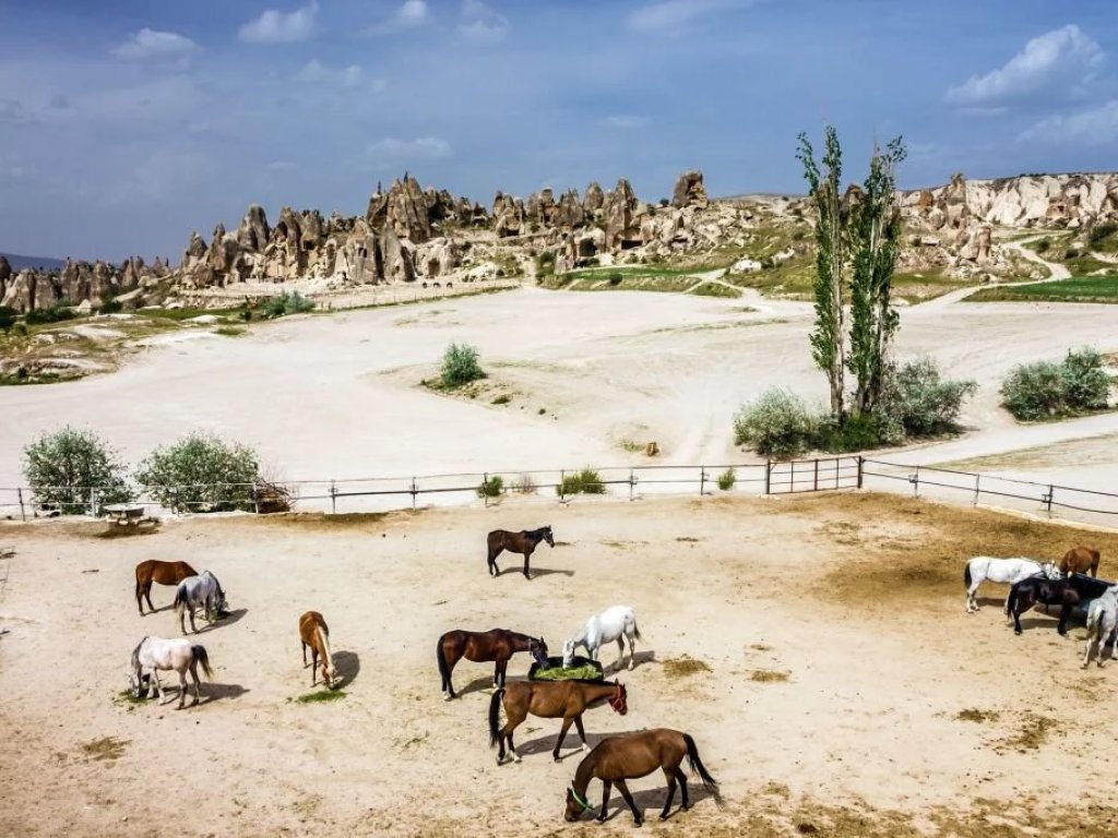Afyon, İzmir Çıkışlı Kapadokya Turu (2 Gece)