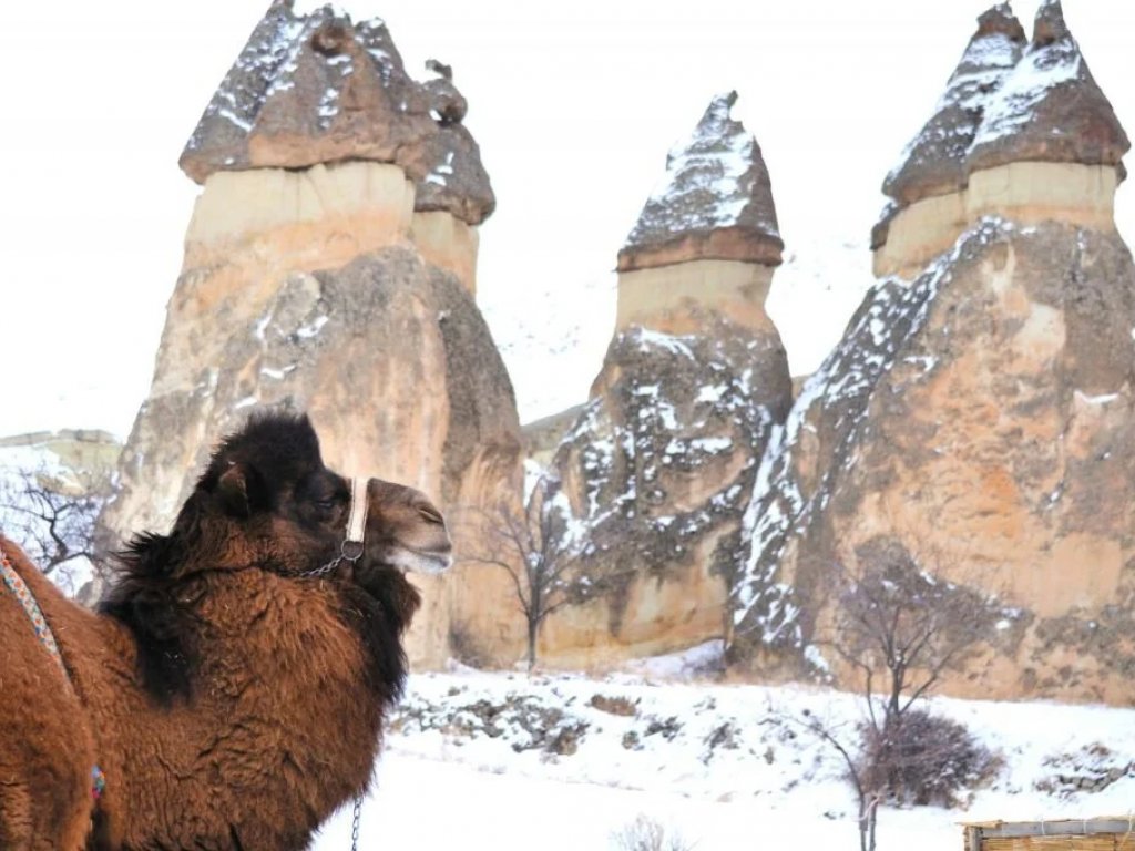 Afyon, İzmir Çıkışlı Kapadokya Turu (2 Gece)